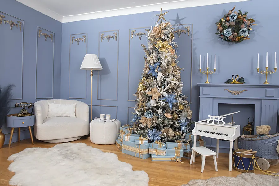 Darina Photography Christmas set 2026 in Barnet, North London